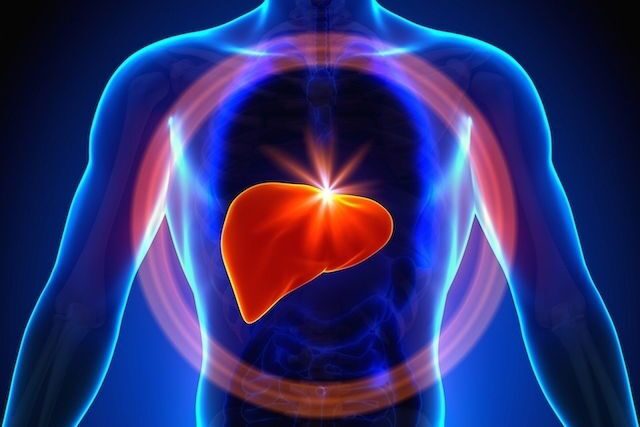 Hepatite C: o que é, sintomas, transmissão e tratamento-radardasaude 1 Imagem ilustrativa número 1