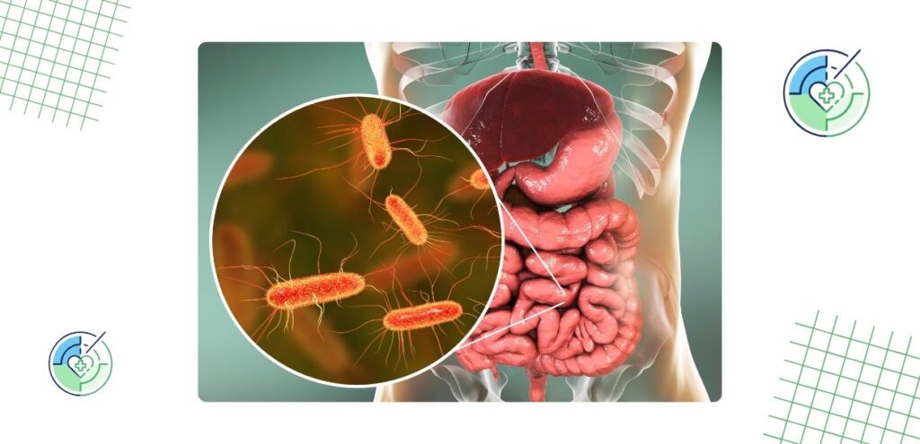 Saúde do intestino: A gênese do corpo humano em um guia completo 4 radardasaude - O que são bactérias boas e como elas ajudam o intestino