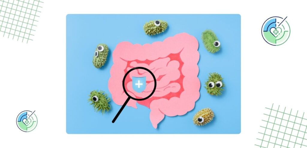 Saúde do intestino: A gênese do corpo humano em um guia completo 3 radardasaude -cuidar do intestino para evitar doenças