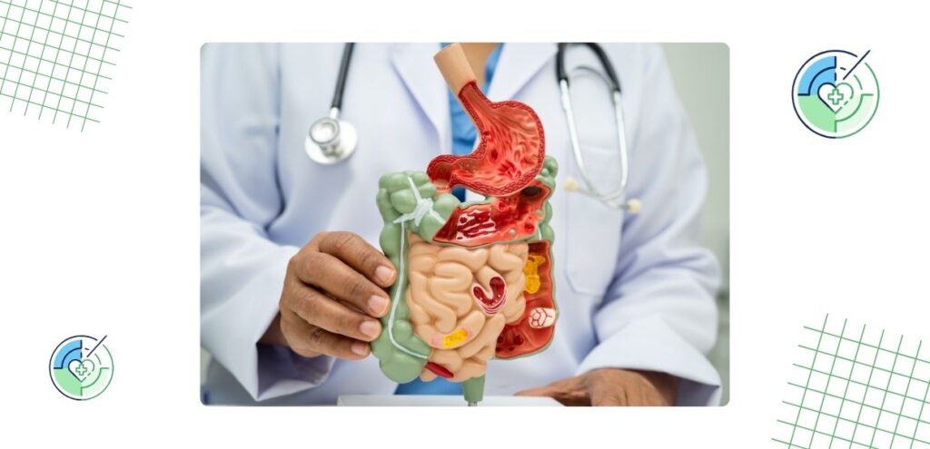 Saúde do intestino: A gênese do corpo humano em um guia completo 2 radardasaude doencas comecam no intestino Saúde do intestino: A gênese do corpo humano em um guia completo
