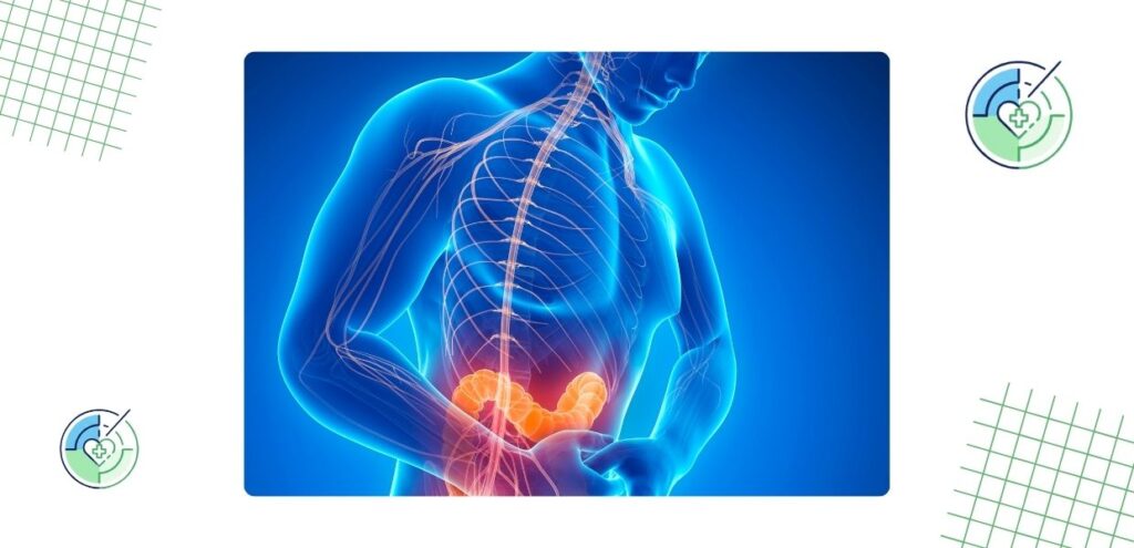 Saúde do intestino: A gênese do corpo humano em um guia completo 1 radardasaude - intestino segundo cerebro