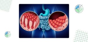 Saúde do intestino: A gênese do corpo humano em um guia completo 5 radardasaude nutricao Saúde do intestino: A gênese do corpo humano em um guia completo