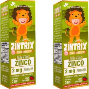 KIT 2X ZINTRIX (Zinco Infantil) 20ml - Flora Nativa Sabor:Morango-radardasaude