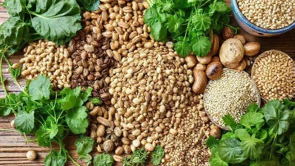 Causas da deficiência de magnésio