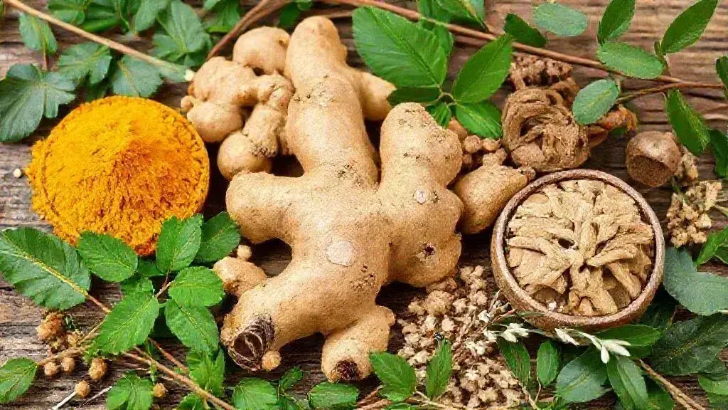 Fitoterápicos e suas propriedades anti-inflamatórias Fitoterápicos e suas propriedades anti-inflamatórias