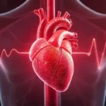 Doença cardiovascular: como hormônios podem afetar sua saúde