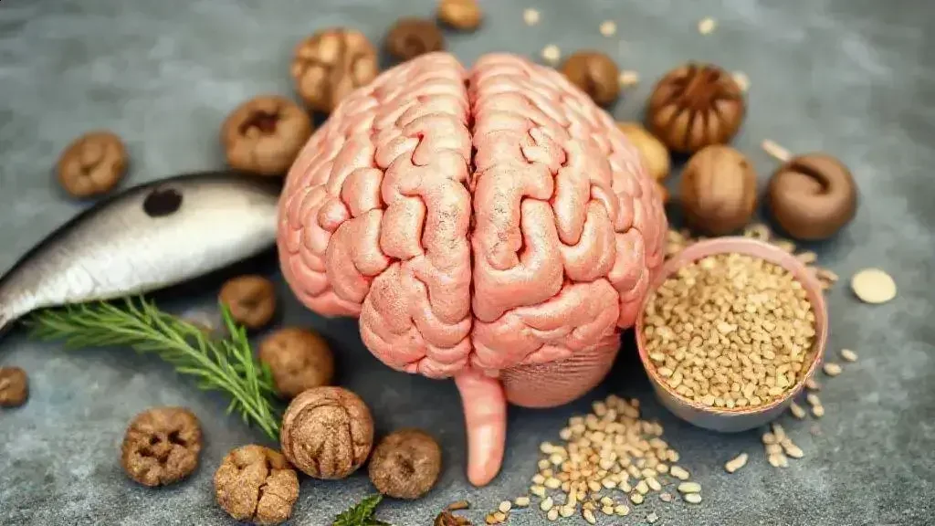 Como o ômega 3 influencia o cérebro