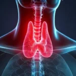 Tiroidite de Hashimoto: Como entender e tratar suas causas