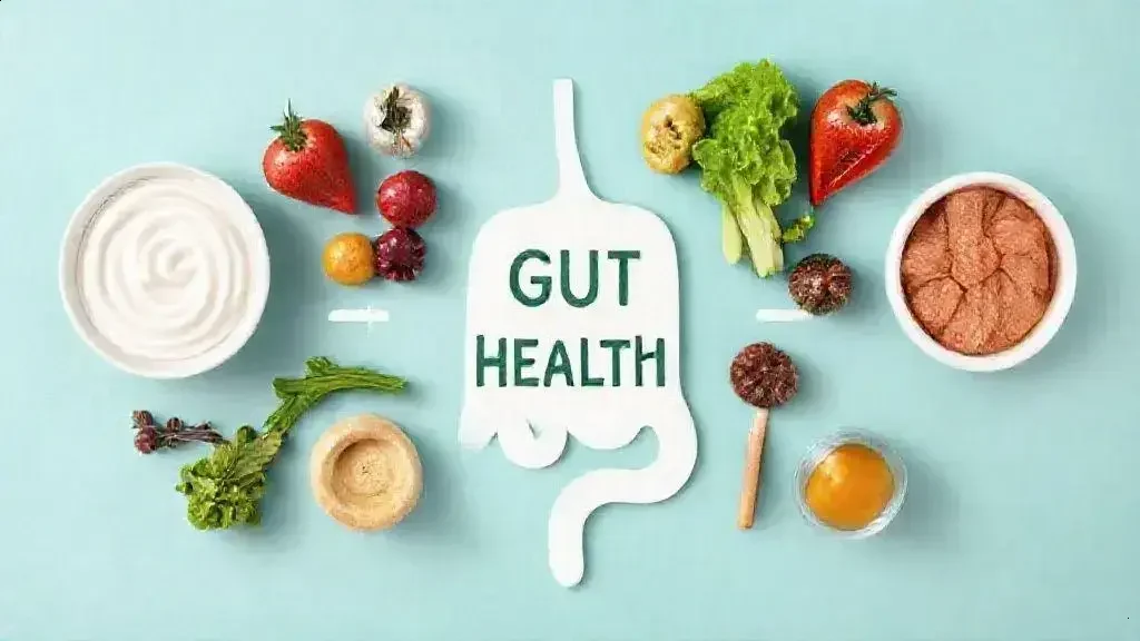 Importância da saúde intestinal Importância da saúde intestinal