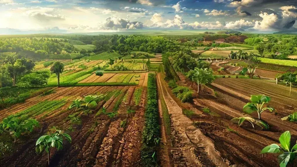 impactos da agricultura no meio ambiente