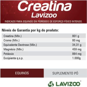 617PhOr60pL._AC_SL1000_.jpg Creatina Lavizoo 500 Gramas